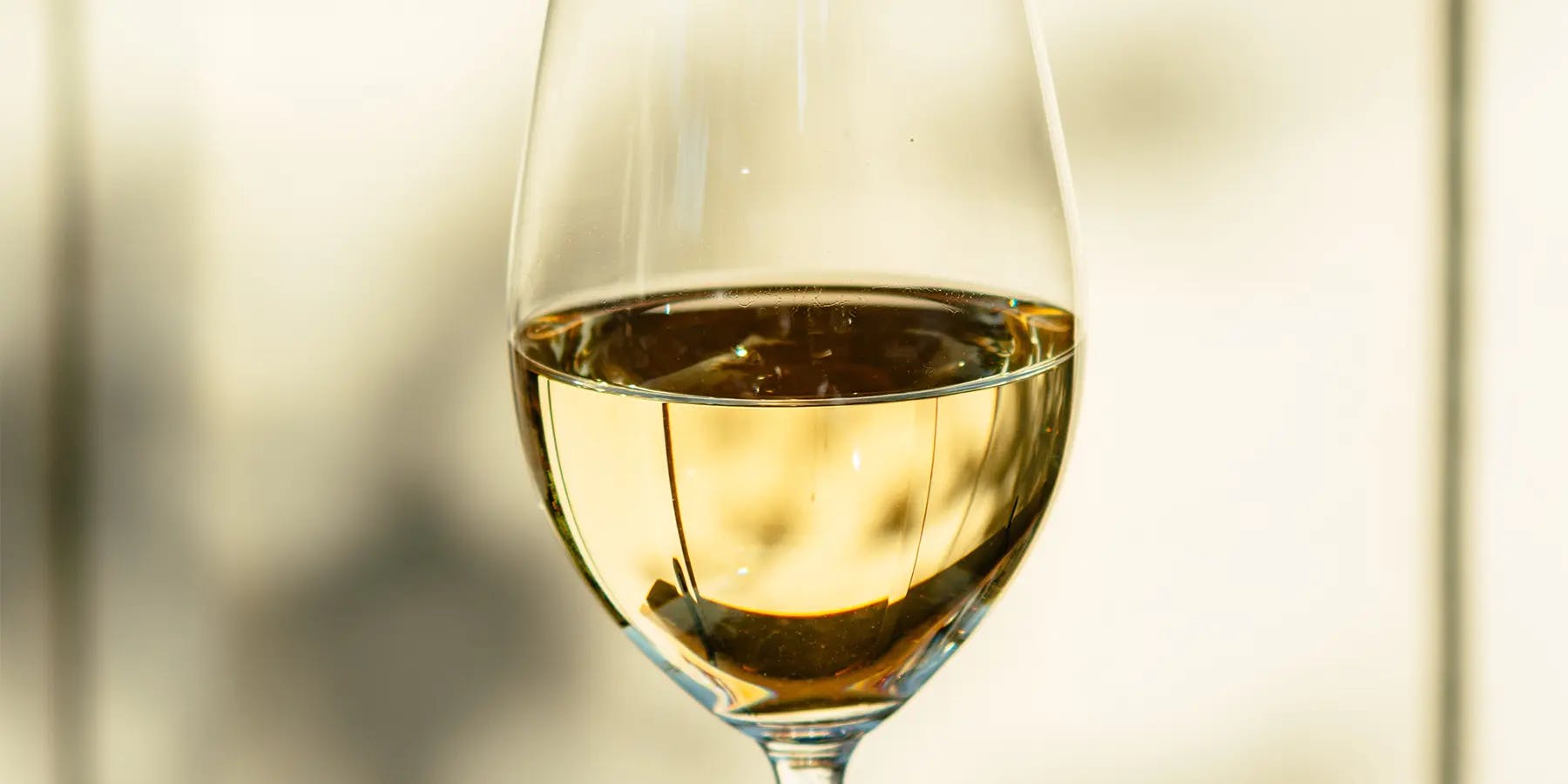 Sauvignon Blanc: a major grape variety in world viticulture